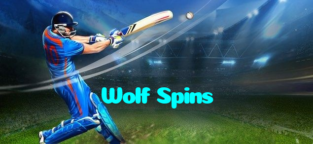 Wolf Spins خوش آمدید بونس +600% پیشکش موبائل ایپ کے پروموشن سیکشن میں دکھائی دیتی ہے۔